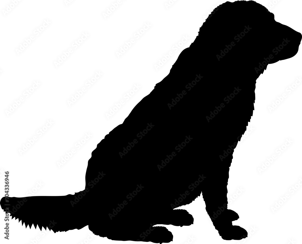 Kuvasz Dog silhouette breeds dog breeds dog monogram logo dog face vector