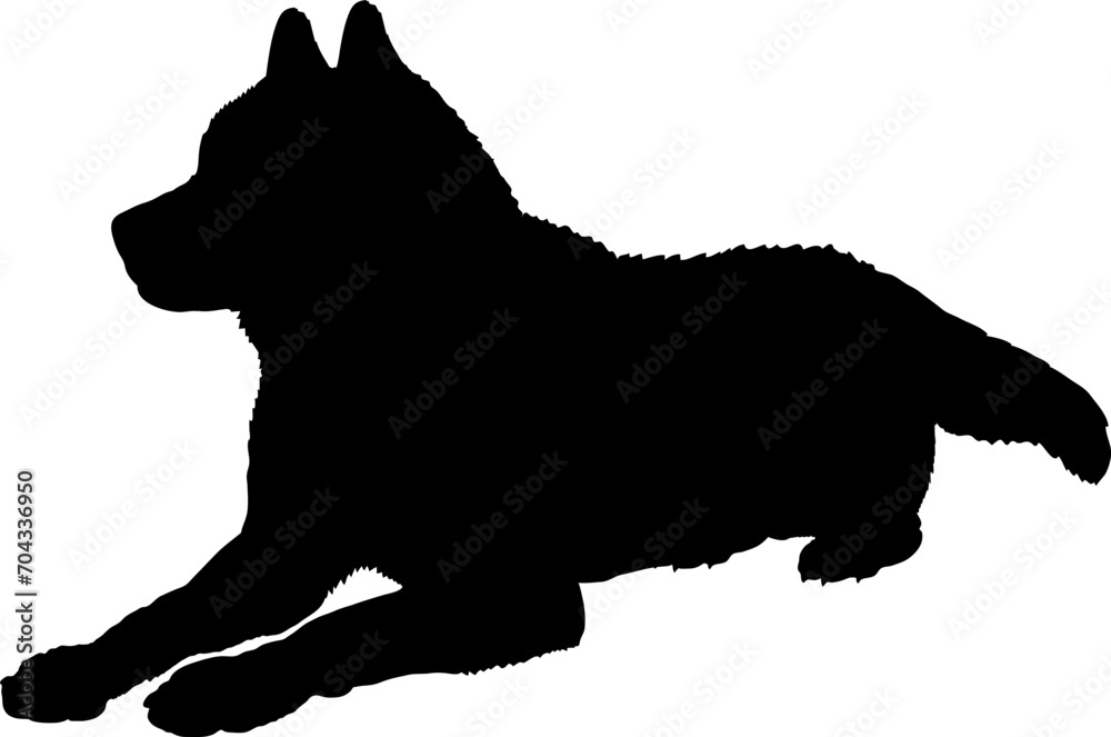 Husky Dog silhouette breeds dog breeds dog monogram logo dog face vector