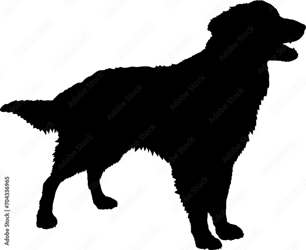 Nederlandse Kooikerhondje Dog silhouette breeds dog breeds dog monogram logo dog face vector