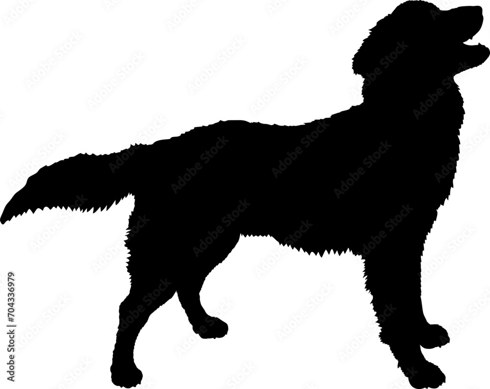 Nova Scotia Duck Tolling Retriever. Dog silhouette breeds dog breeds dog monogram logo dog face vector