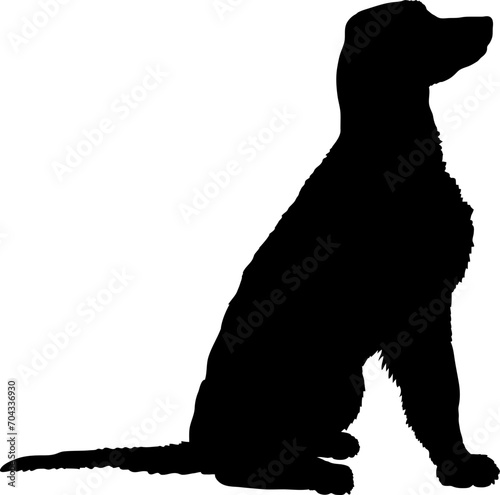 Irish Setter Dog silhouette breeds dog breeds dog monogram logo dog face vector