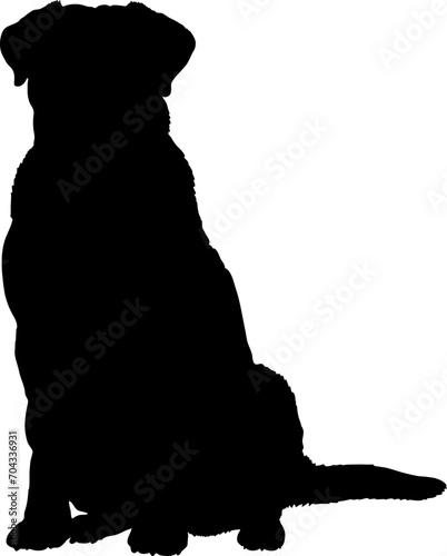 Greater Swiss Mountain Dog silhouette breeds dog breeds dog monogram logo dog face vector photo