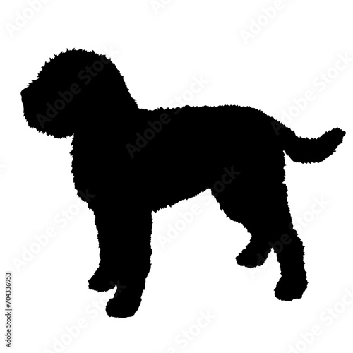 Lagotto Romagnolo Dog silhouette breeds dog breeds dog monogram logo dog face vector