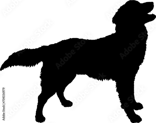 Nova Scotia Duck Tolling Retriever. Dog silhouette breeds dog breeds dog monogram logo dog face vector