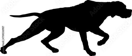 Pointer Dog silhouette breeds dog breeds dog monogram logo dog face vector