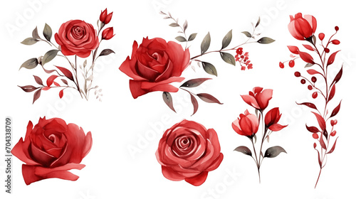 Watercolor elements red roses  and flowers on a white background