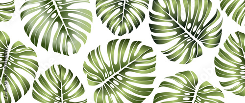 Summer tropical background with green realistic monstera leaves. Light vector background, wallpaper, cover, postcard, poster