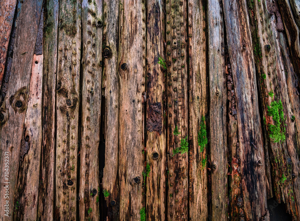 Fototapeta premium Palisadenzaun aus Holz