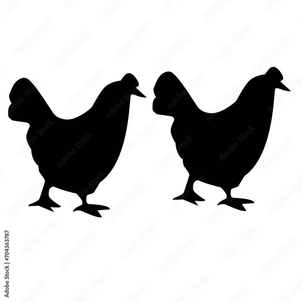 Obraz premium chicken in the pasture