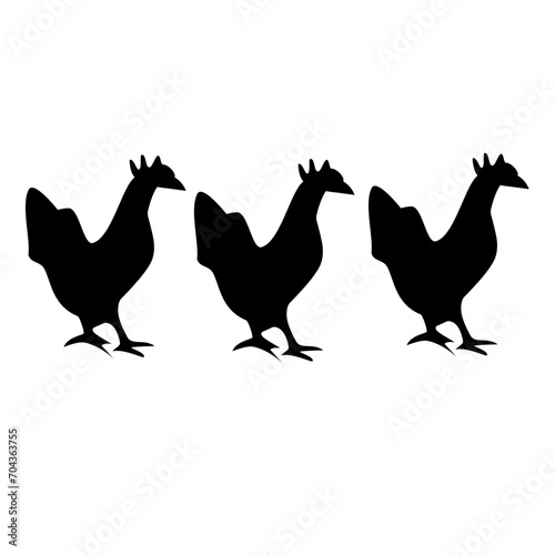 chicken in the pasture