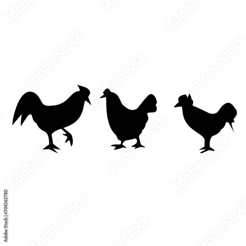 chicken in the pasture