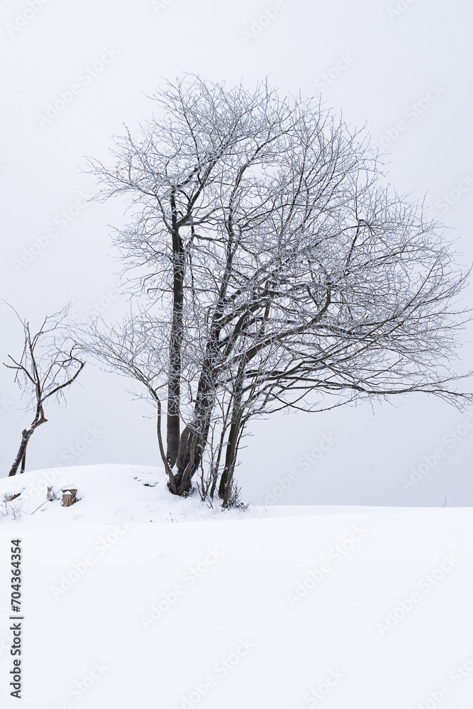 Little Beskid Mountains in winter Little Beskid Mountains in winter