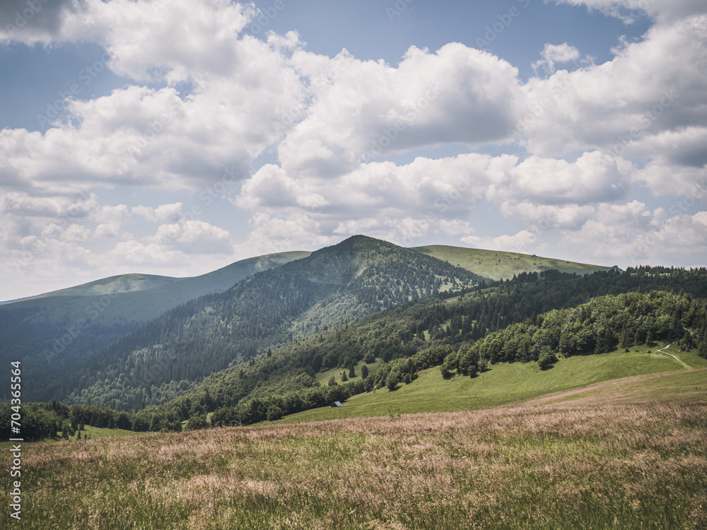 Summer landscape with mountain peak and alpine meadow, pine forest, in Slovakia, Velka Fatra