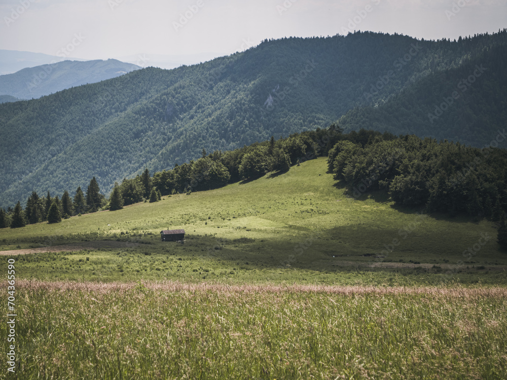 Mountain hut on a meadow close to a forest with mountain range peaks in the background, summer, Slovakia, Velka Fatra