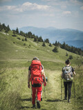Young people from behind rear view hiking backpacking trekking in the mountains, summer, Slovakia, Velka Fatra