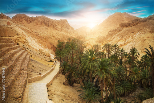 Mountain oasis Chebika, Sahara desert, Tunisia, Africa photo