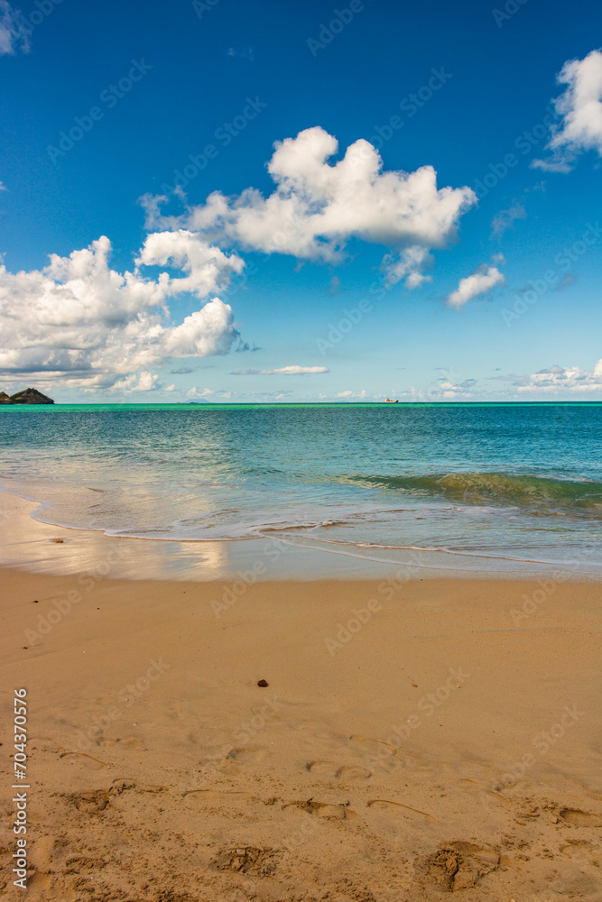 Fototapeta premium Caribbean beach - Antigua Islan
