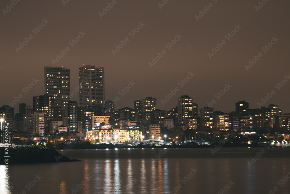 Fototapeta premium city skyline at night