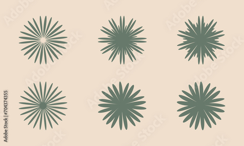 set of abstract natural flower shapes
