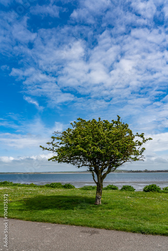 Penrhos Nature Reserve in spring  Anglesey 