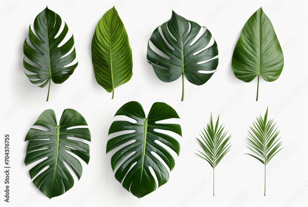 Fototapeta premium collection of tropical leaves isolated on white background. generative ai