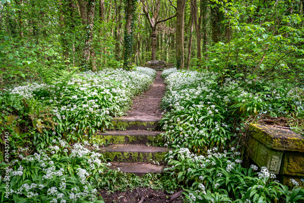Penrhos Nature Reserve in spring, Anglesey Penrhos Nature Reserve in spring, Anglesey