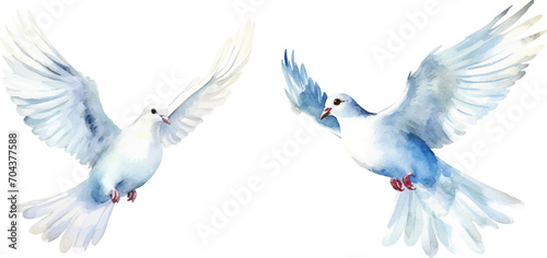 watercolor of dove bringing peace photo