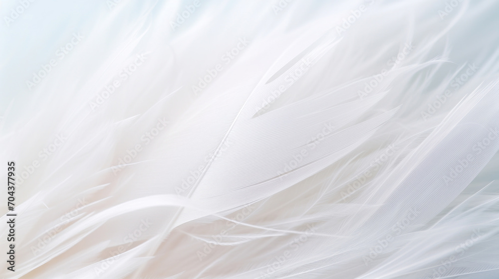 A soft and delicate background texture of white feathers, conveying a sense of lightness and purity. A soft and delicate background texture of white feathers, conveying a sense of lightness and purity.