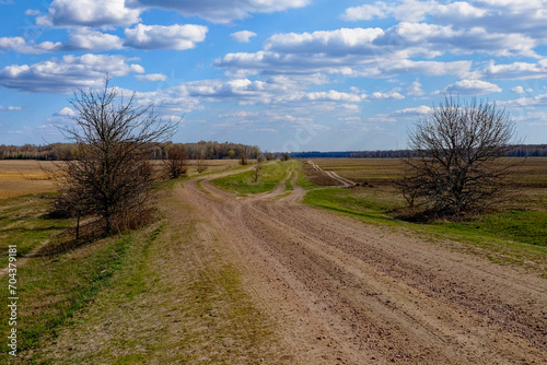 The image shows a long, winding dirt path surrounded by bare trees and grass.