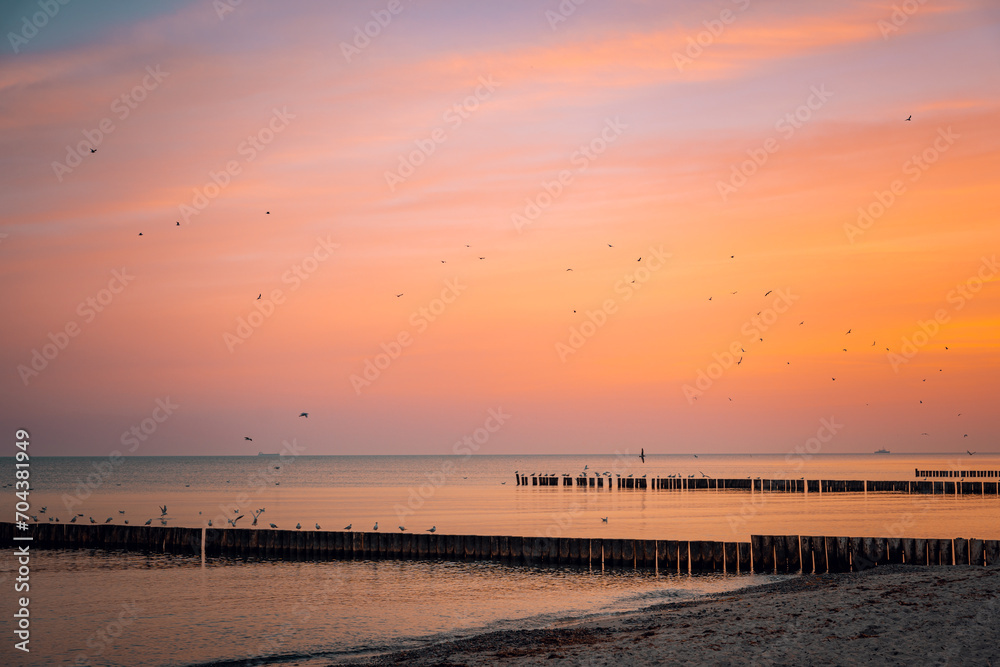 Naklejka premium Sonnenaufgang am Strand Gespensterwald Nienhagen an der Ostsee, Ostseeküste, Mecklenburg-Vorpommern, Deutschland