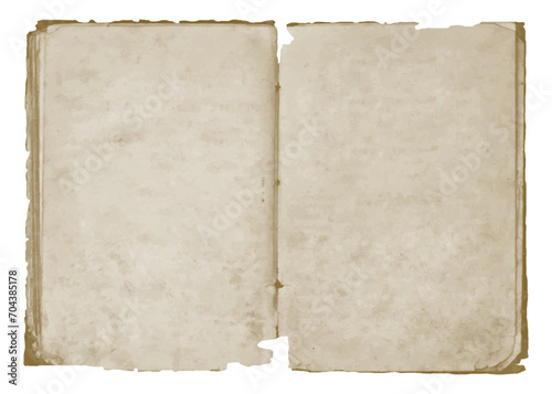The empty pages of an old antique open tattered torn book