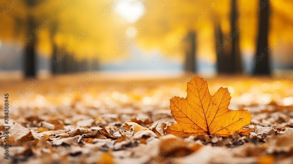 autumn yellow leaves of oak tree in autumn park. Fall background with leaves in sun lights with bokeh. Beautiful nature landscape autumn yellow leaves of oak tree in autumn park. Fall background with leaves in sun lights with bokeh. Beautiful nature landscape