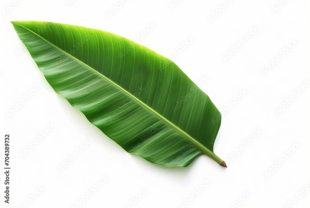 Obraz premium fresh banana leaves isolated on white background. generative ai
