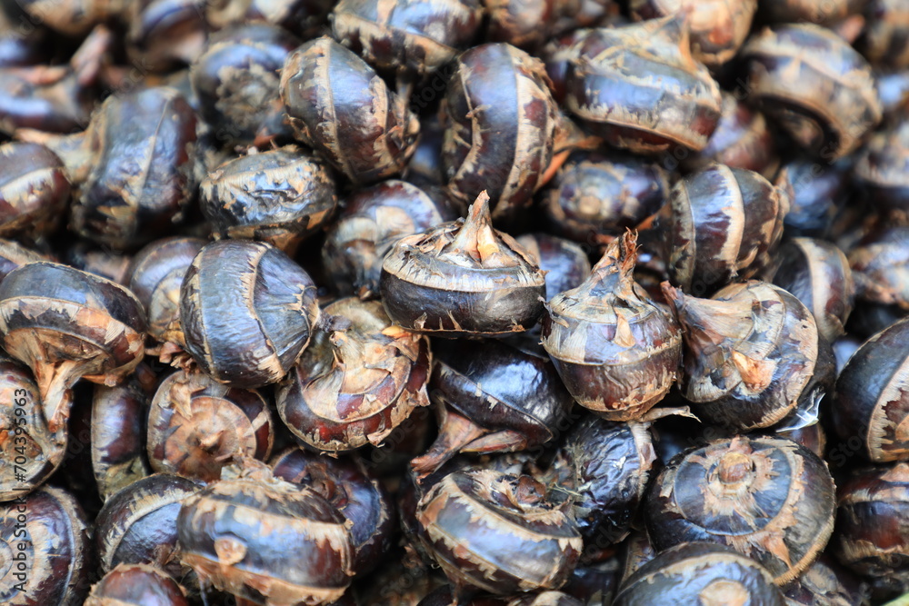 Pile of waternut or chinese water chestnut in for sale in the market in the north of thailand Pile of waternut or chinese water chestnut in for sale in the market in the north of thailand