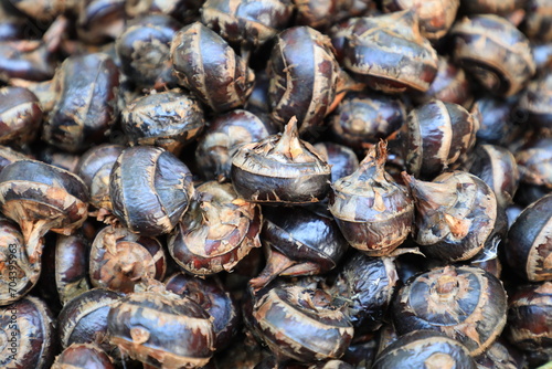 Pile of waternut or chinese water chestnut in for sale in the market in the north of thailand © narin_nonthamand