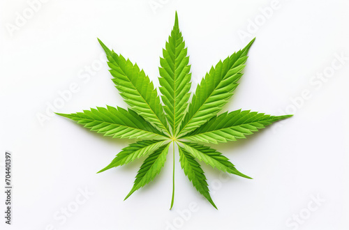 Marijuana Leaf on White Background