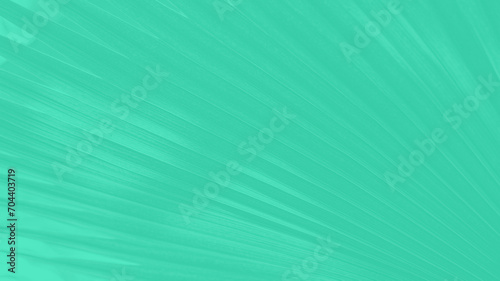Abstract cold green panoramic  background with palm leaves lines pattern