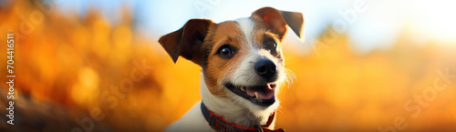A Jack Russell Terrier with an excited expression and autumnal colors in the background, illustrating the lively spirit of the dog.