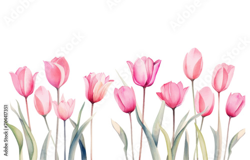 Women s Day. Greeting card with tulips. Vector illustration.