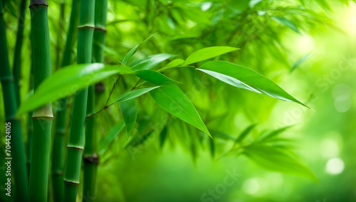 Closeup of bamboo forest trees and leaf, Green natural green leaves plants using as spring background cover page greenery environment ecology wallpaper. Generative Ai