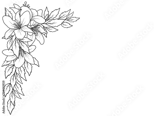 Bouquet Flower Corner Outline Illustration 