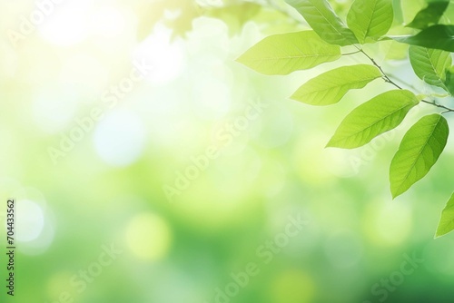 Green leaf for nature on blurred background with beautiful bokeh and copy space for text. 