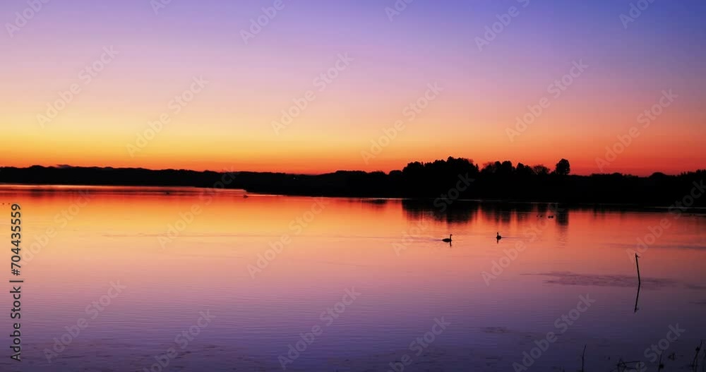 sunrise over the lake with swans. sunrise over the lake with swans.
