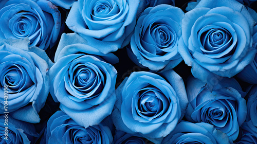 Many blue roExtreme close-up red rose backgroundses banner
