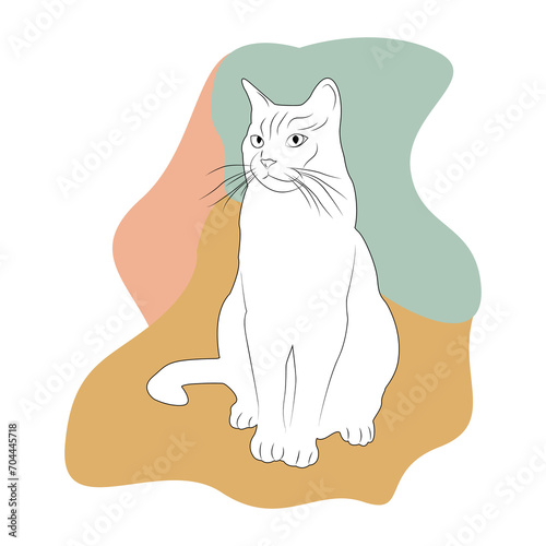 Silhouette cat on a white background. Outline cat. Design greeting cards  posters  patches  prints on clothes  emblems. Pet. Boho style. Friend human.