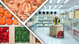 Supermarket refrigerated warehouse. Shrimp and vegetables near freezer. Man with boxes inside refrigerator. Industrial refrigerator for food storage. Cold storage with shrimps and cucumbers