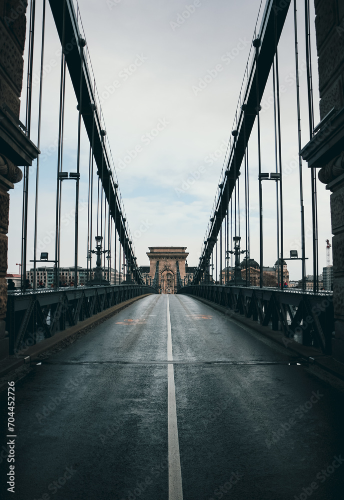 Fototapeta premium bridge in the city