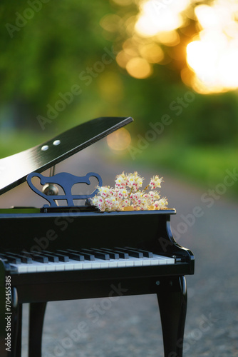 A piano standing on a blooming chestnut alley with a blooming branch on it during sunset.