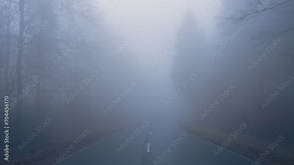 Fototapeta premium dense fog over the the empty road in the forest