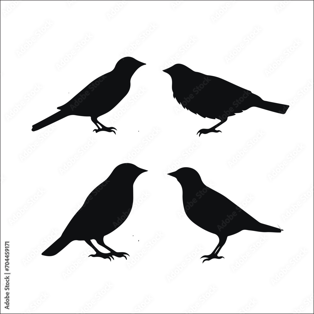 Fototapeta premium Vector Collection of Bird Silhouettes